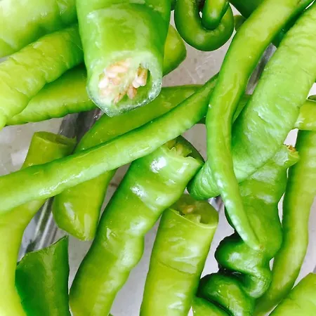 Antandros Narli Hotel Adatepe (Ayvacik)