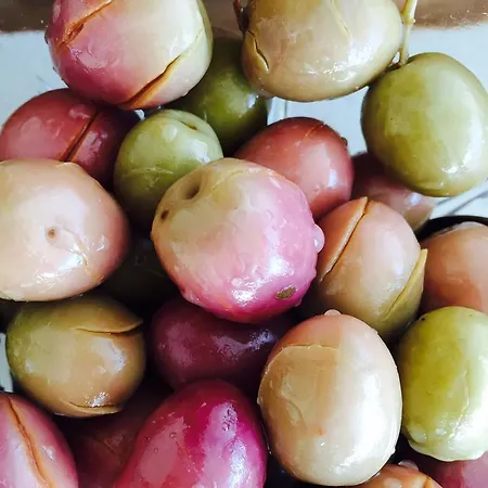 Hotel Antandros Narli Adatepe (Ayvacik)